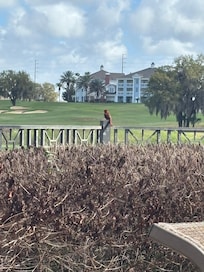 View of golf course from the pool.