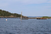 Cove during a
Hide tide