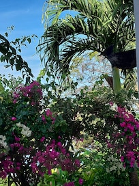 Vue depuis le logement