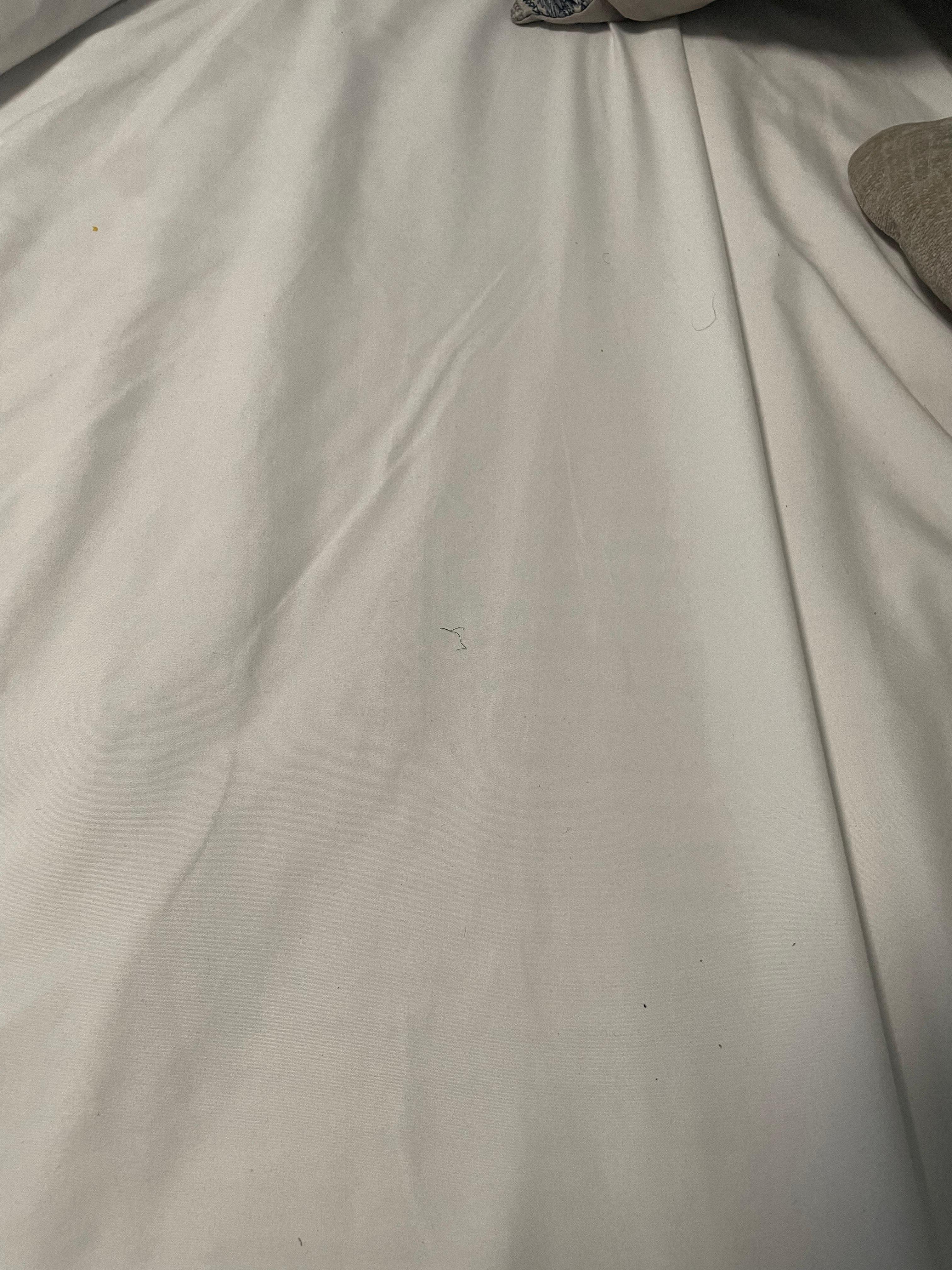 More dirty sheets
