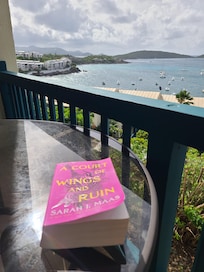 Early morning reading with a beautiful view.