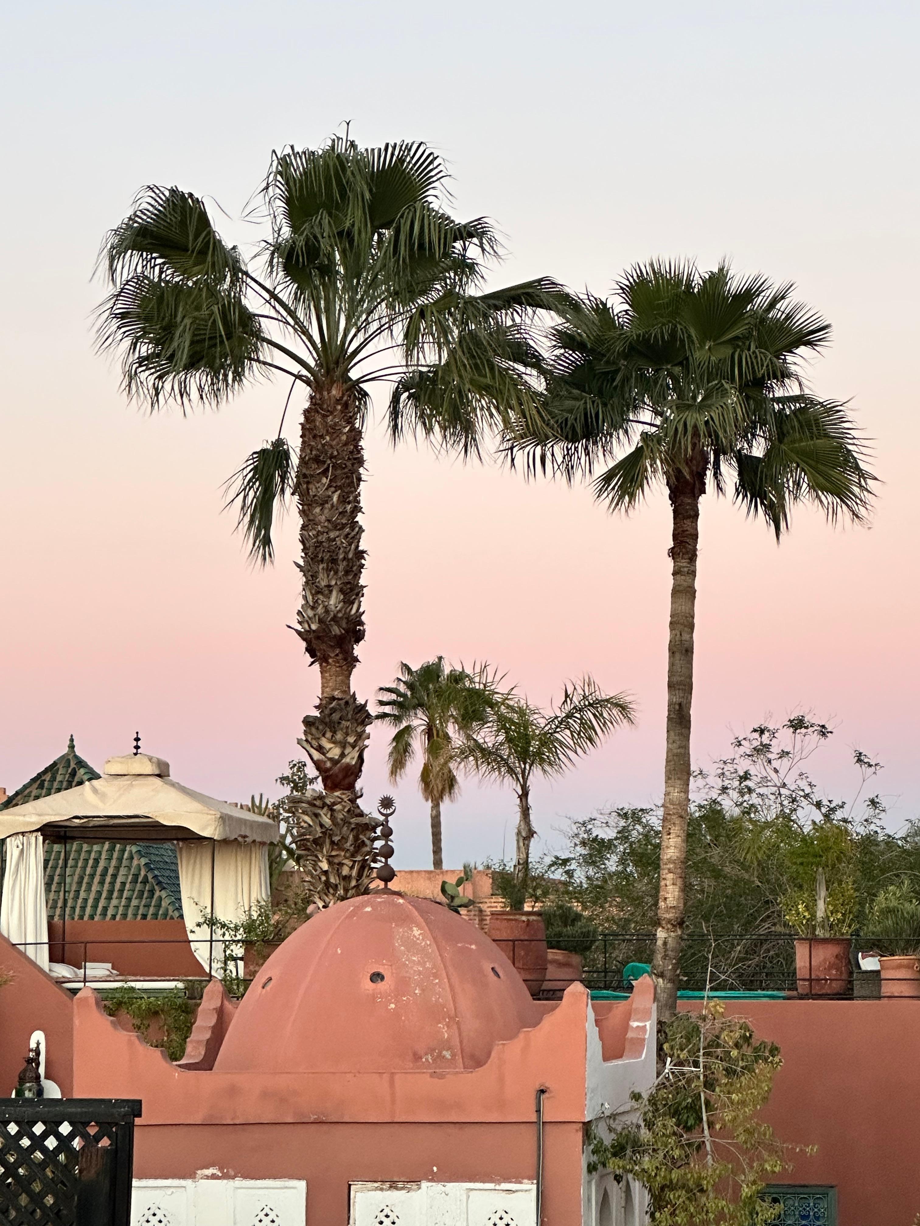Blick von der Dachterrasse 