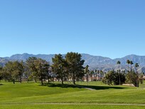 View from the patio.