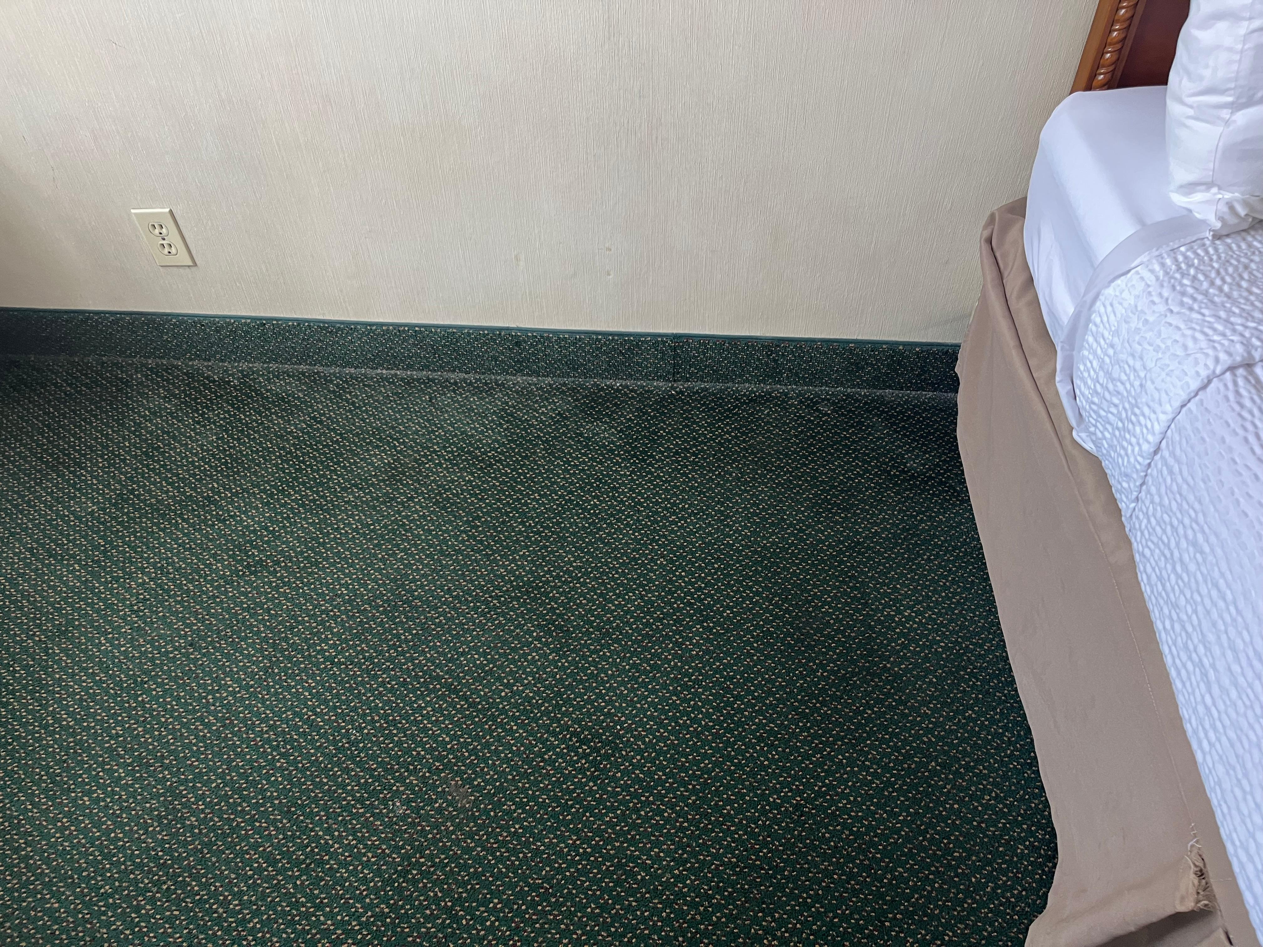 Carpet needs deep cleaning!
