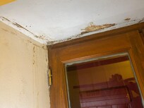 Dirt and mildew