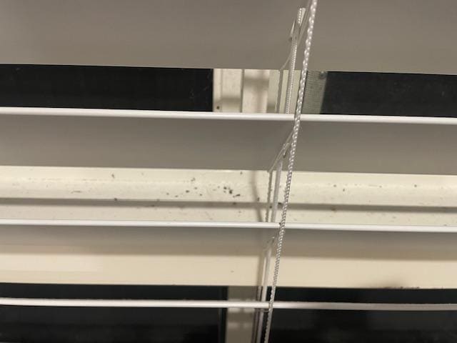 blinds haven't been cleaned in a long while 