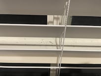 blinds haven't been cleaned in a long while