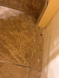 Debris and thick dirt on all floors