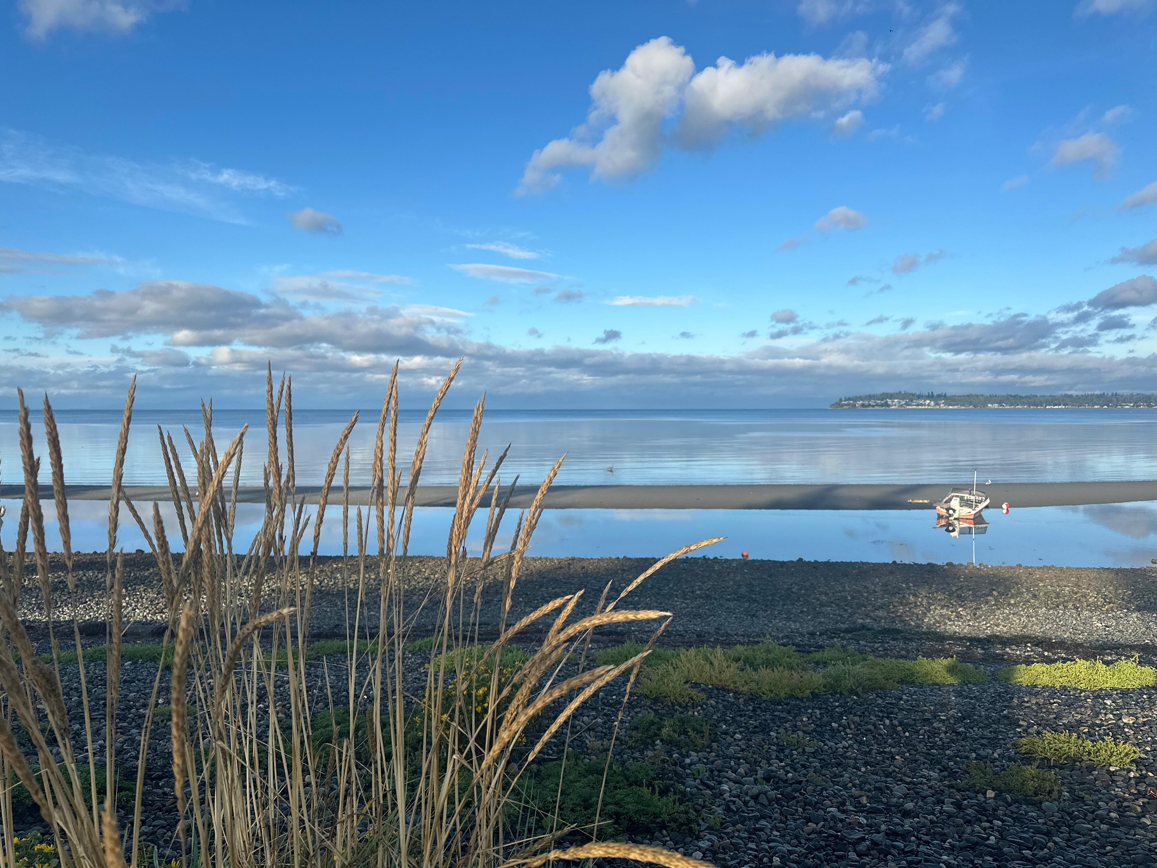 Birch Bay