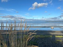 Birch Bay
