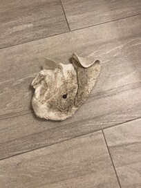 The floor after I wiped it three times