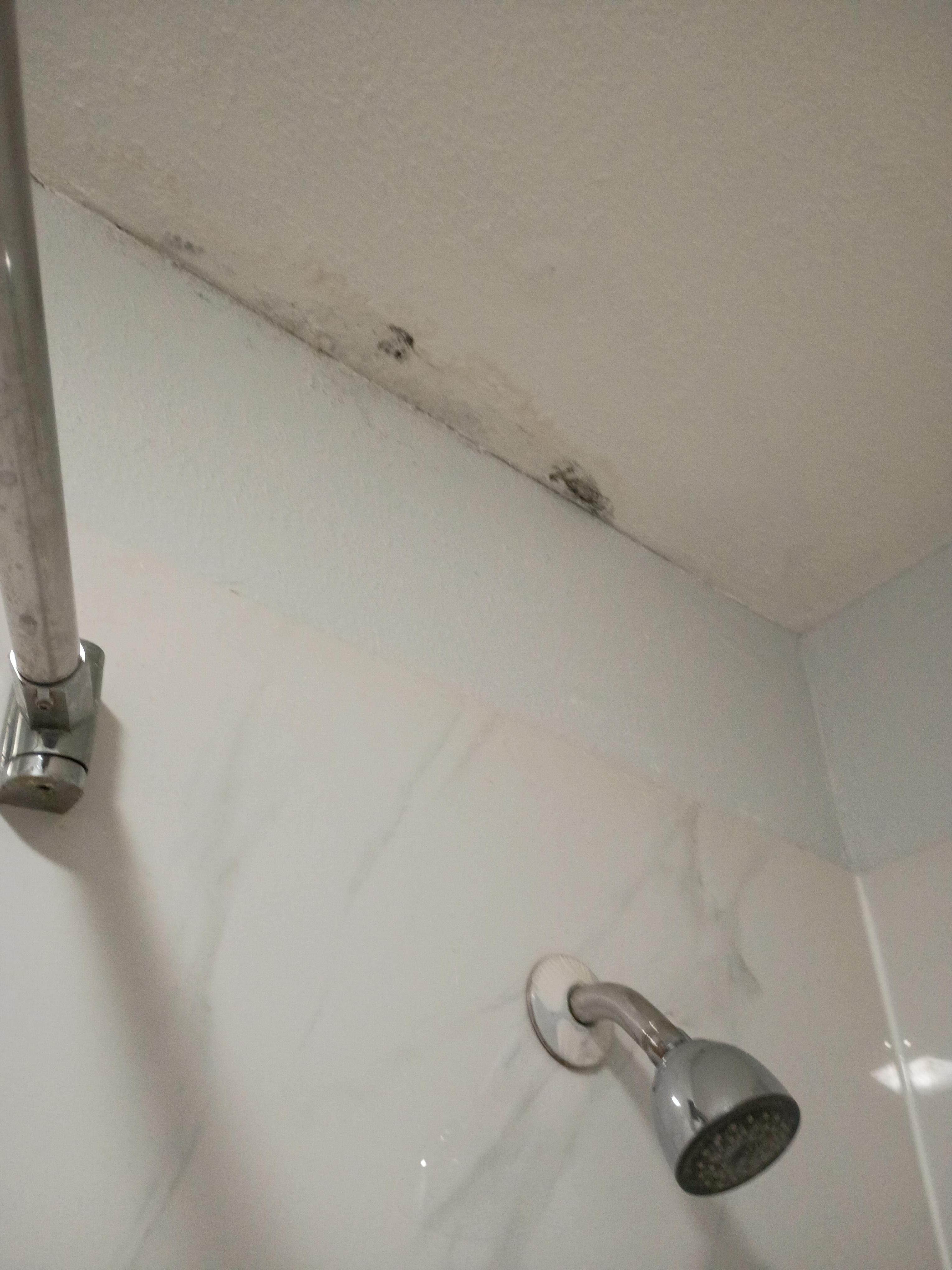 Mold in tub/commode rm
