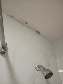 Mold in tub/commode rm