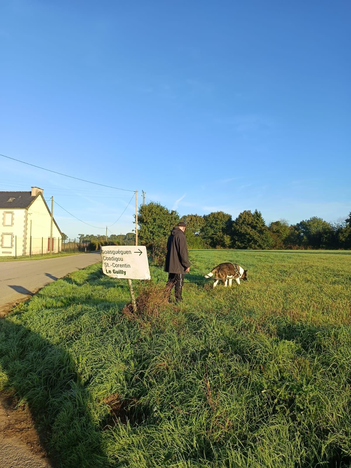 20 Meter vom Haus entfernt 