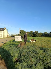 20 Meter vom Haus entfernt