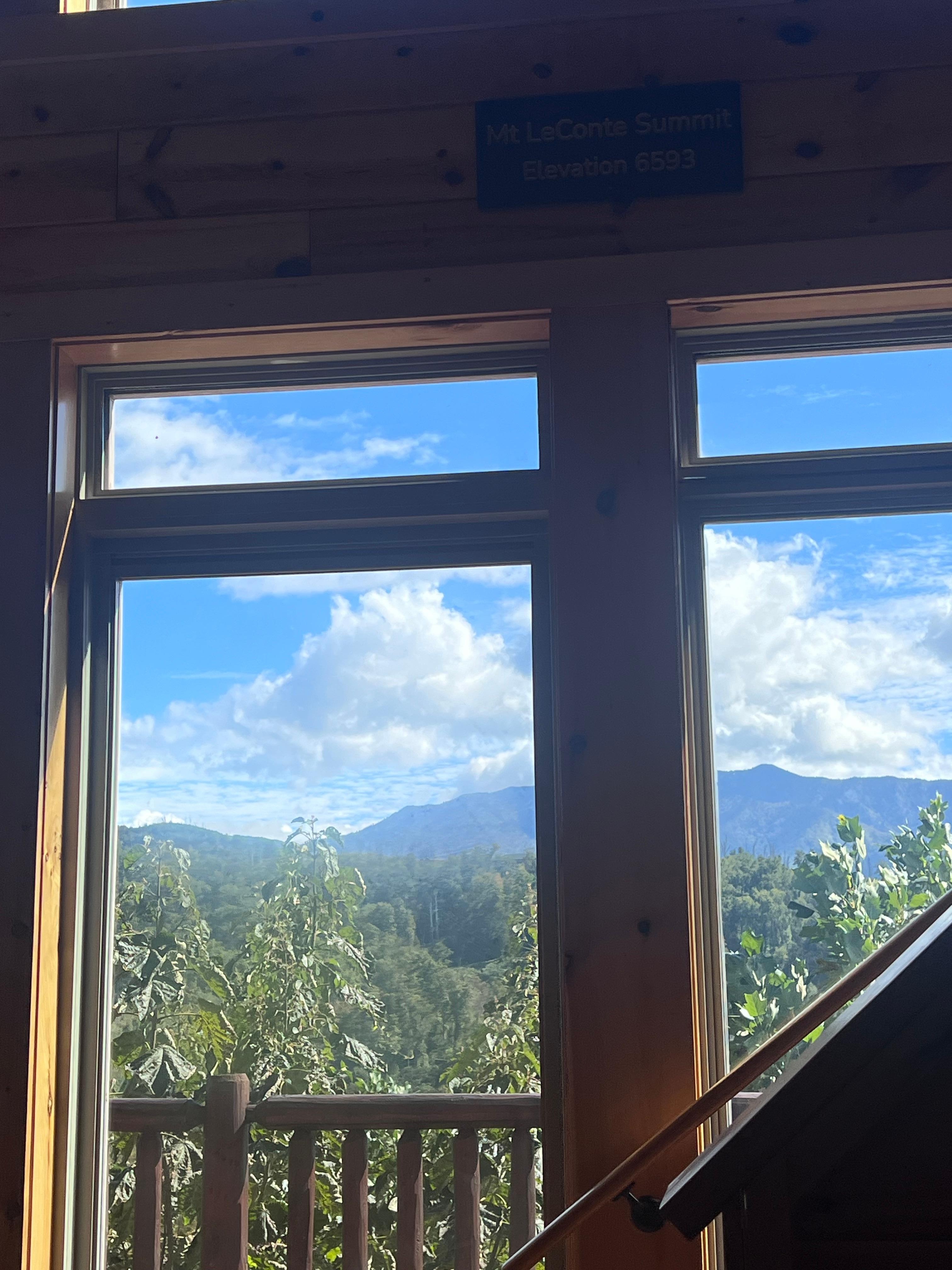 View from living room 