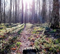 Hiking at the Susquehannock State Forest with the pup.
