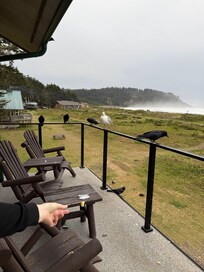 Balcony and view