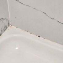 Shower pan. Filthy. I didn't want to use it.