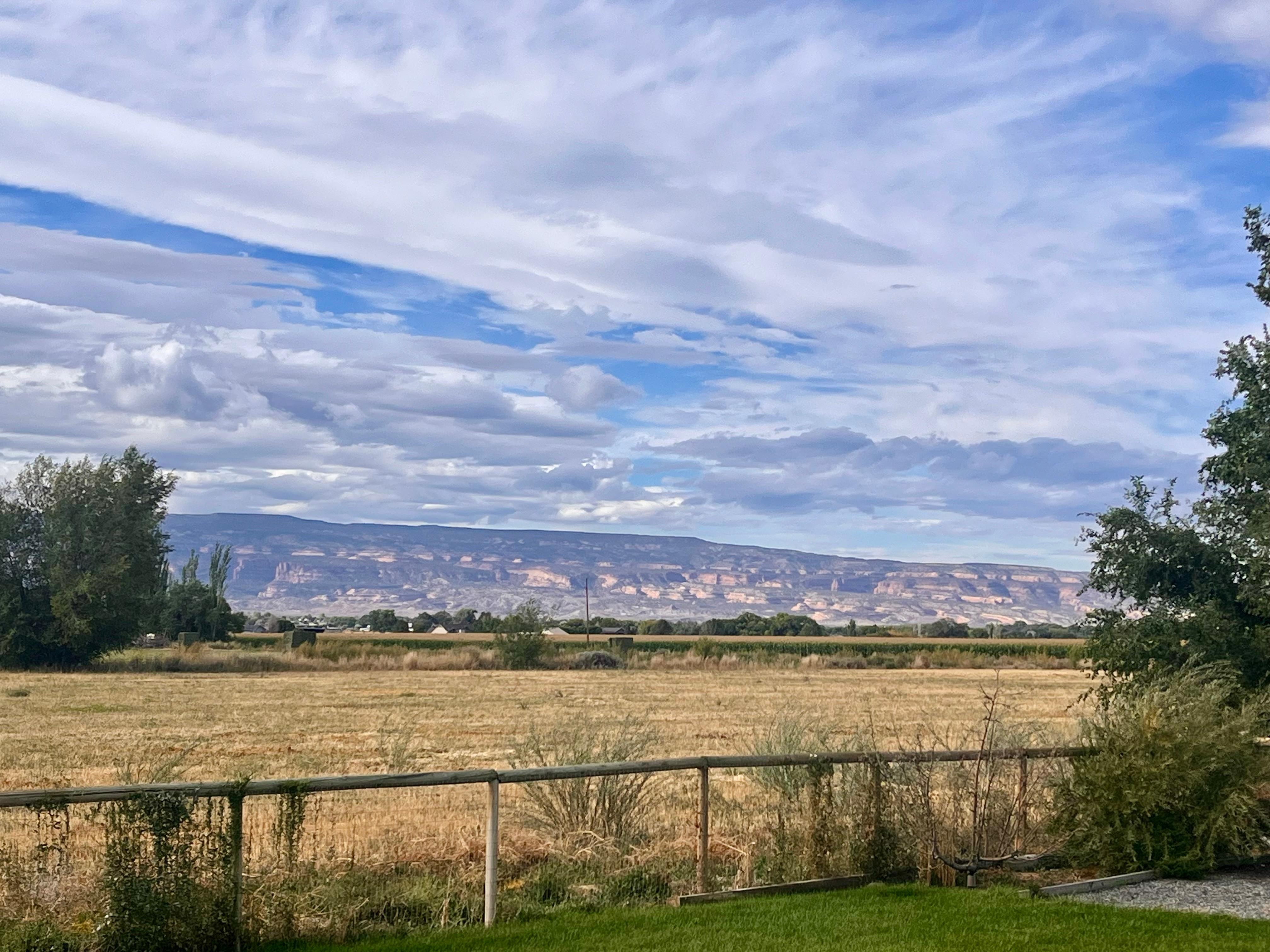 Views from the back of the house. Simply beautiful relaxing and peaceful 