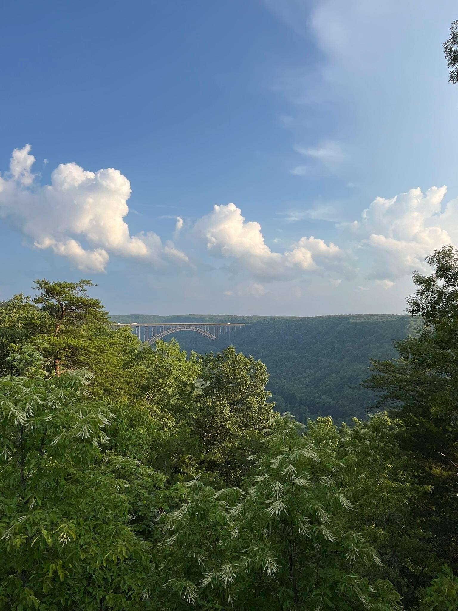bridge view