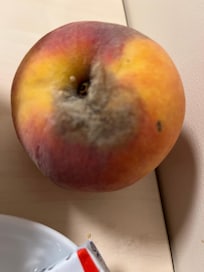 They serve rotten fruits