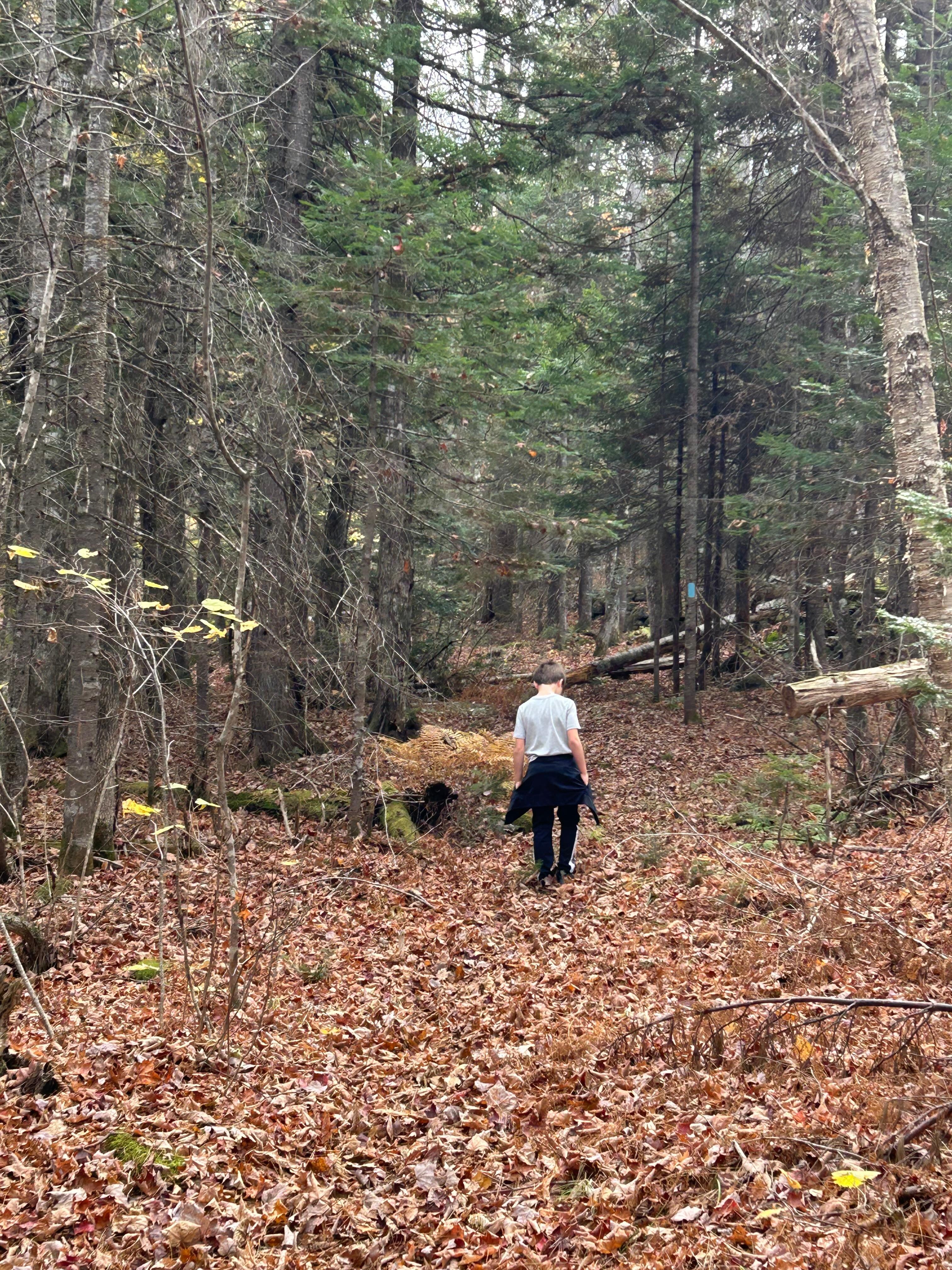 Hiking at nearby Mt. Blue State Park! 