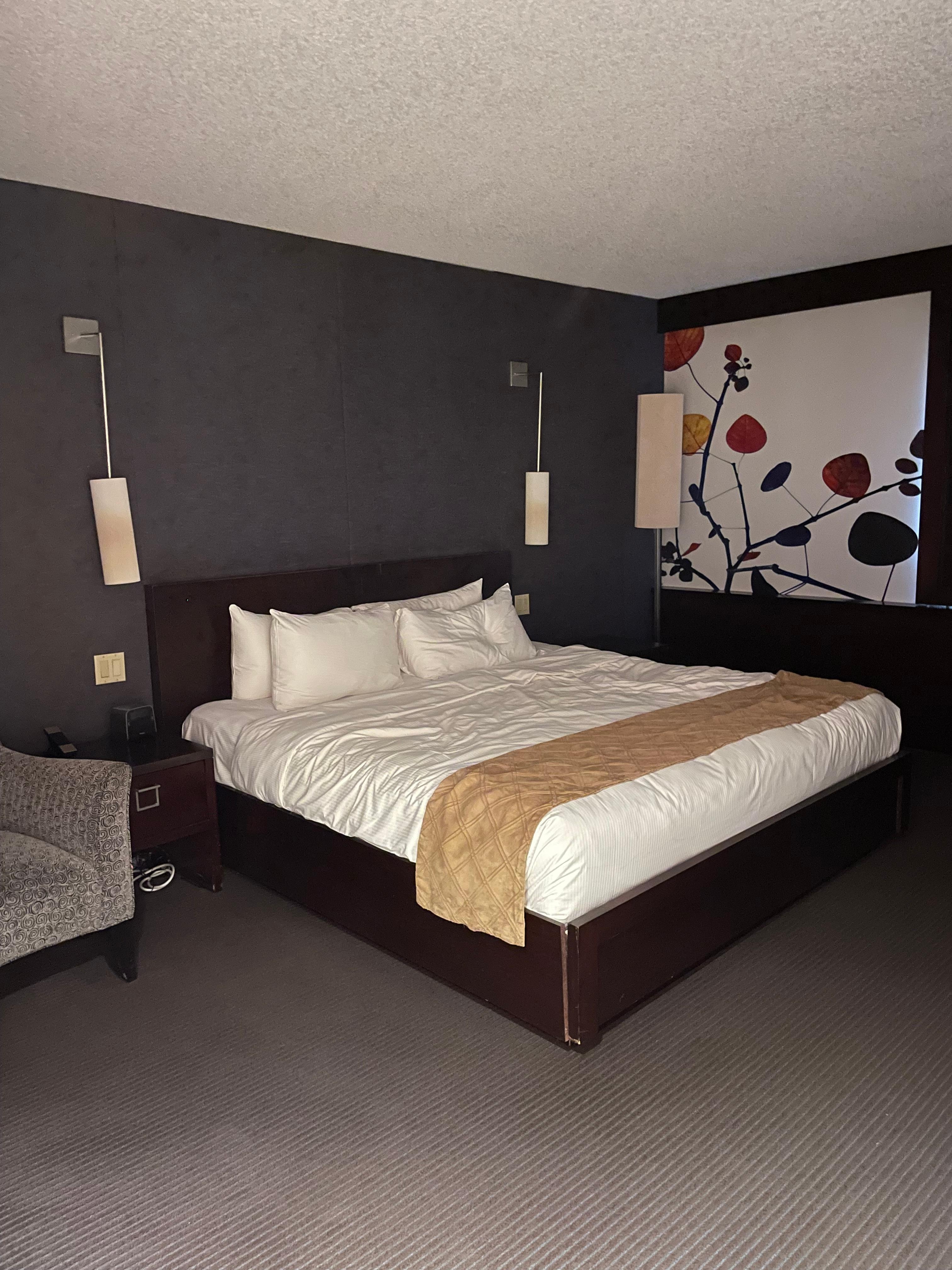 Chambre grande et propre
