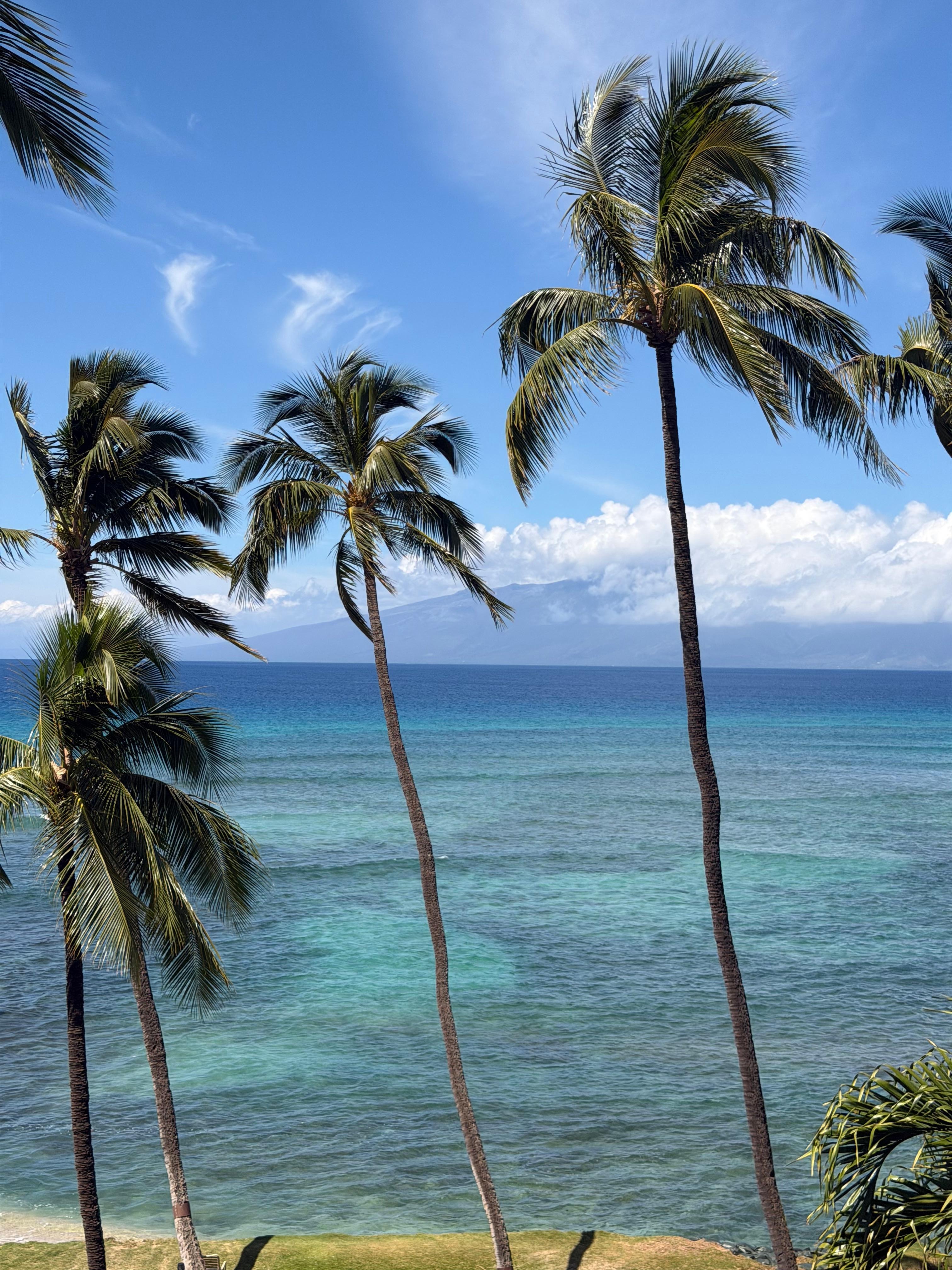 View from 4th floor balcony