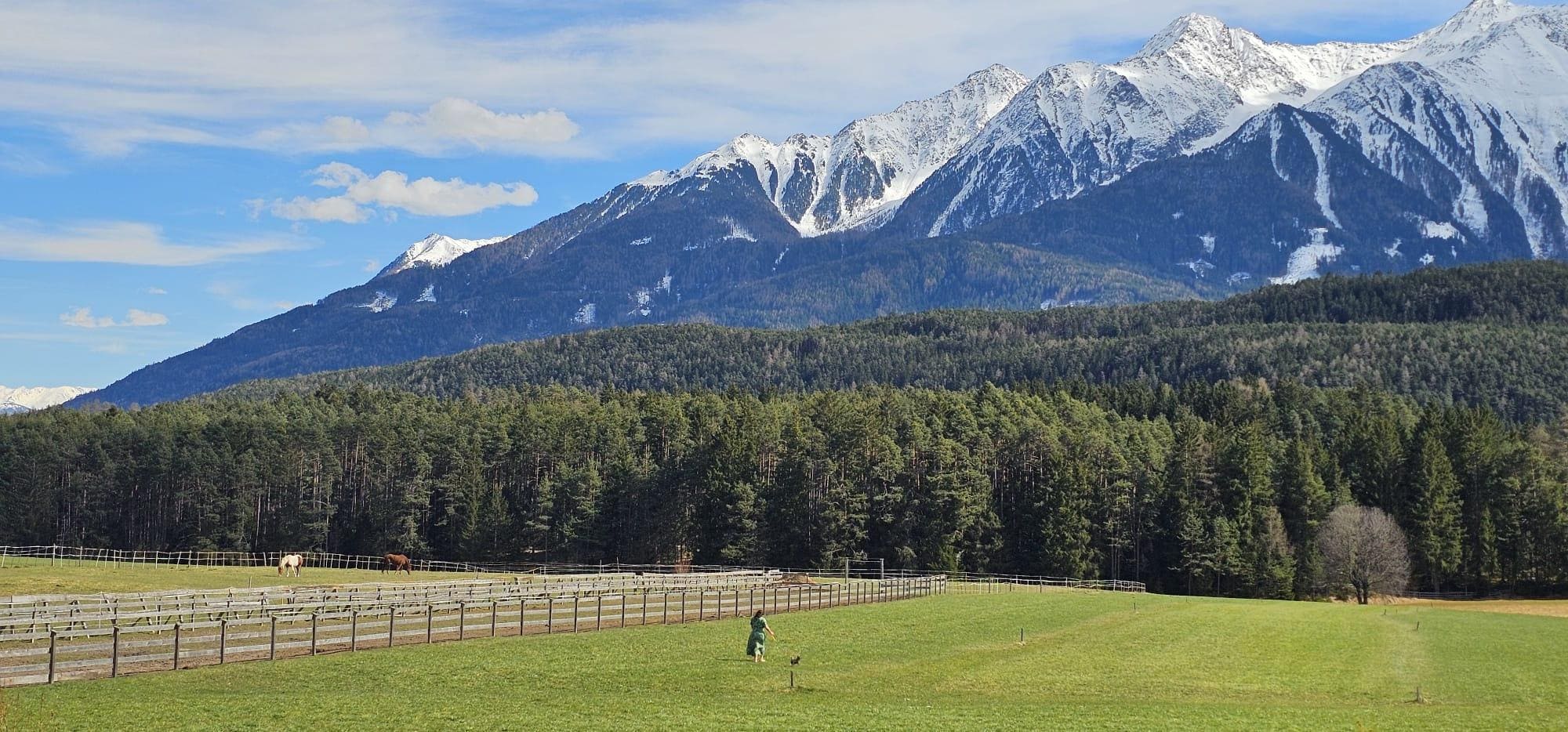 Blick vom der Terrasse 