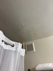 Bath Ceiling