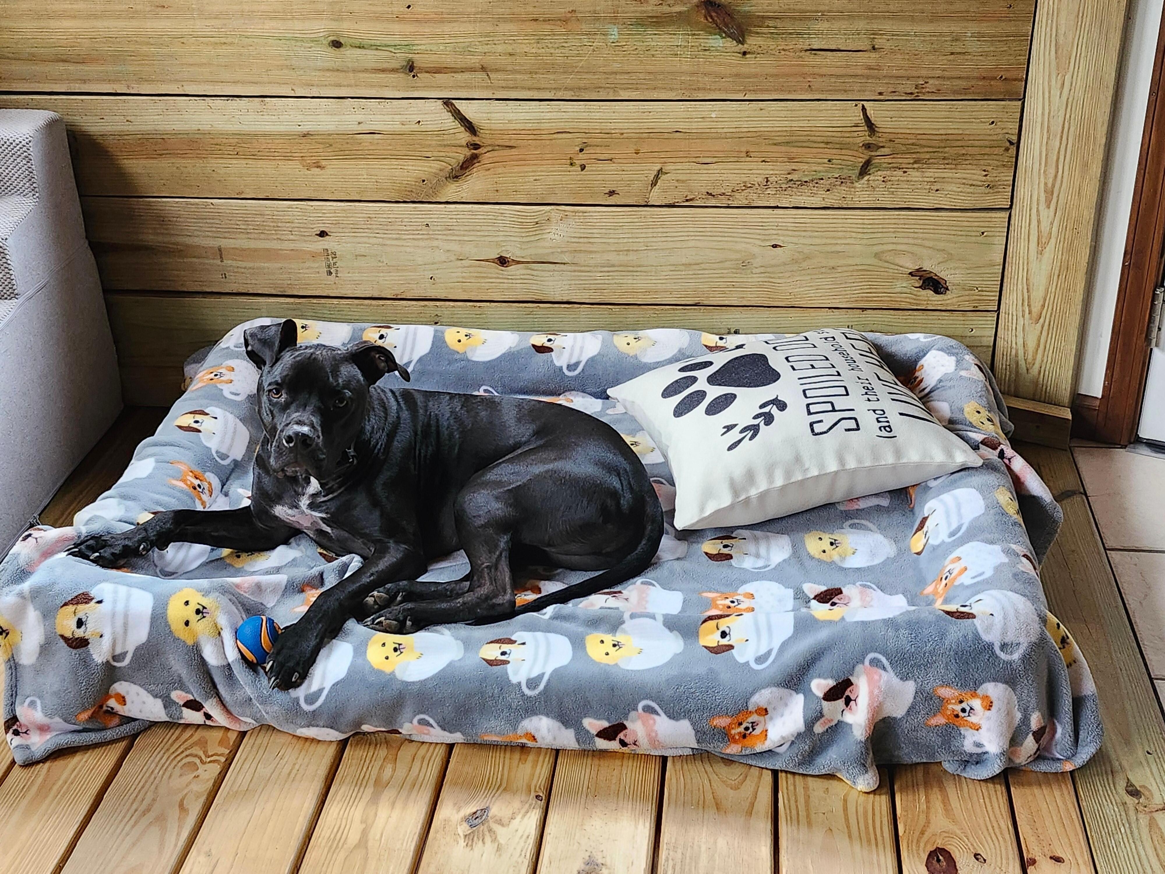 Resting an relaxing.