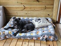 Resting an relaxing.