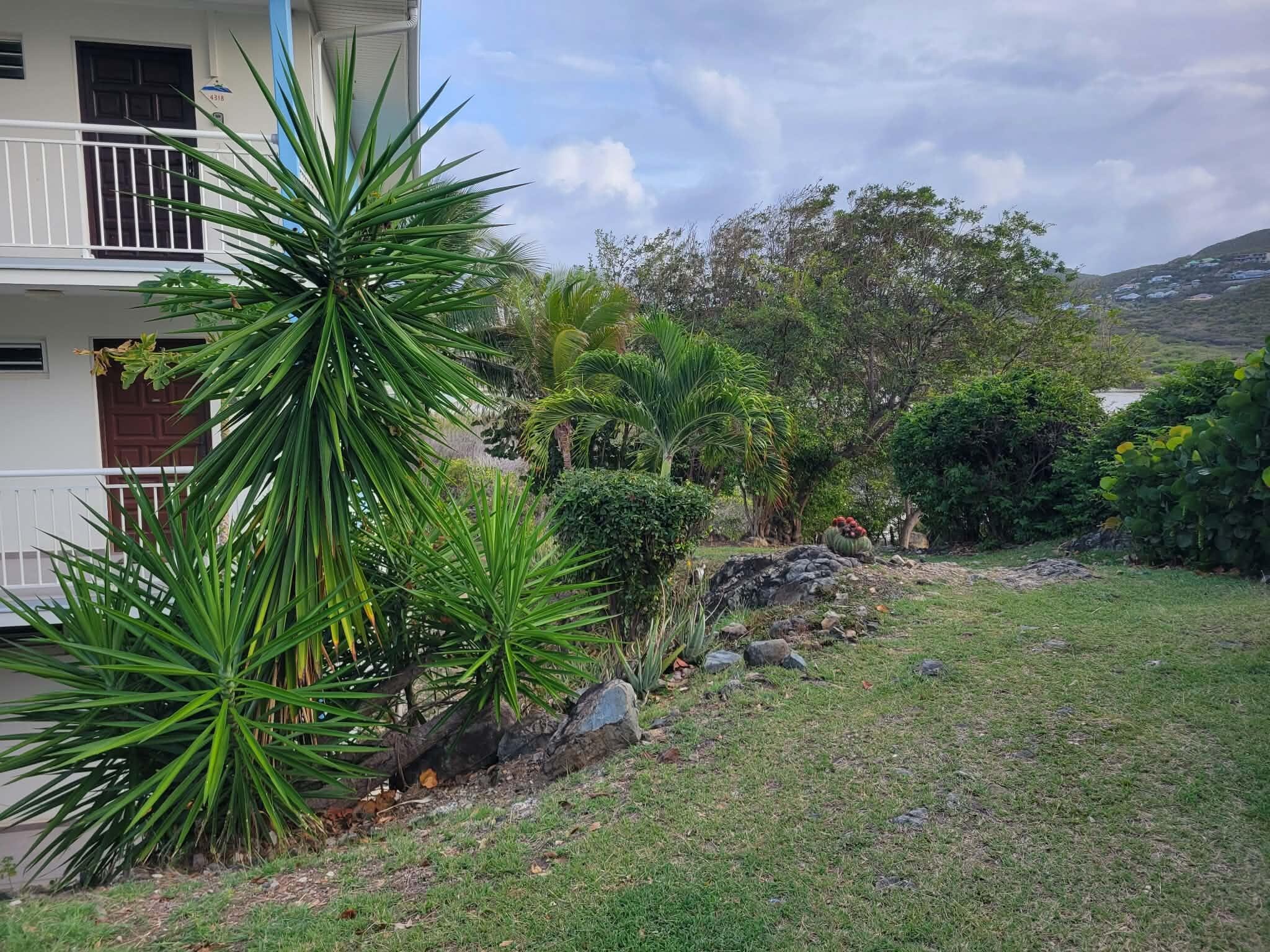 Landscape around the building