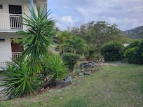 Landscape around the building