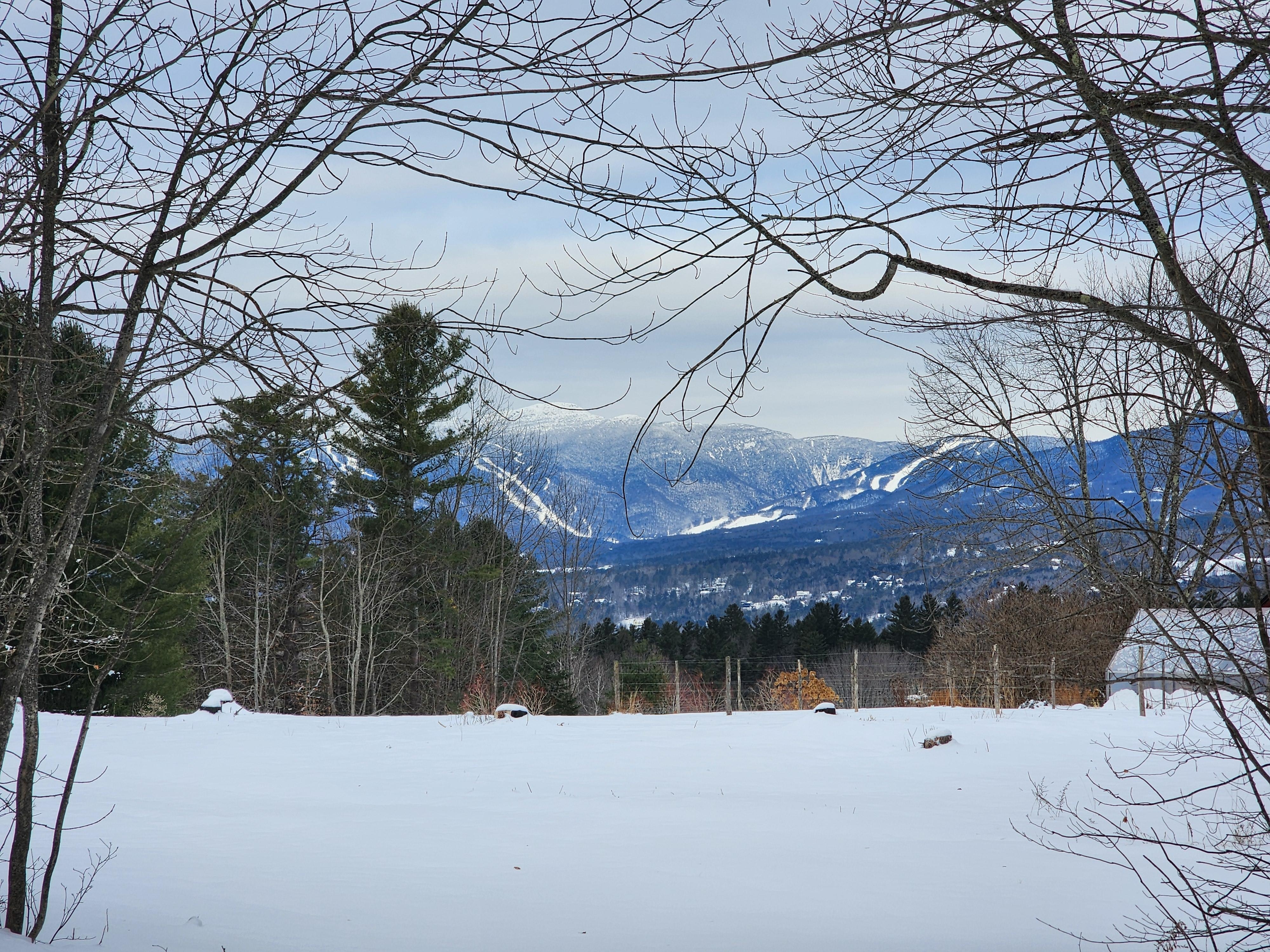 View from down the road that goes directly to main street