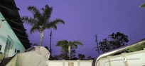 View from the hot tub at dusk.