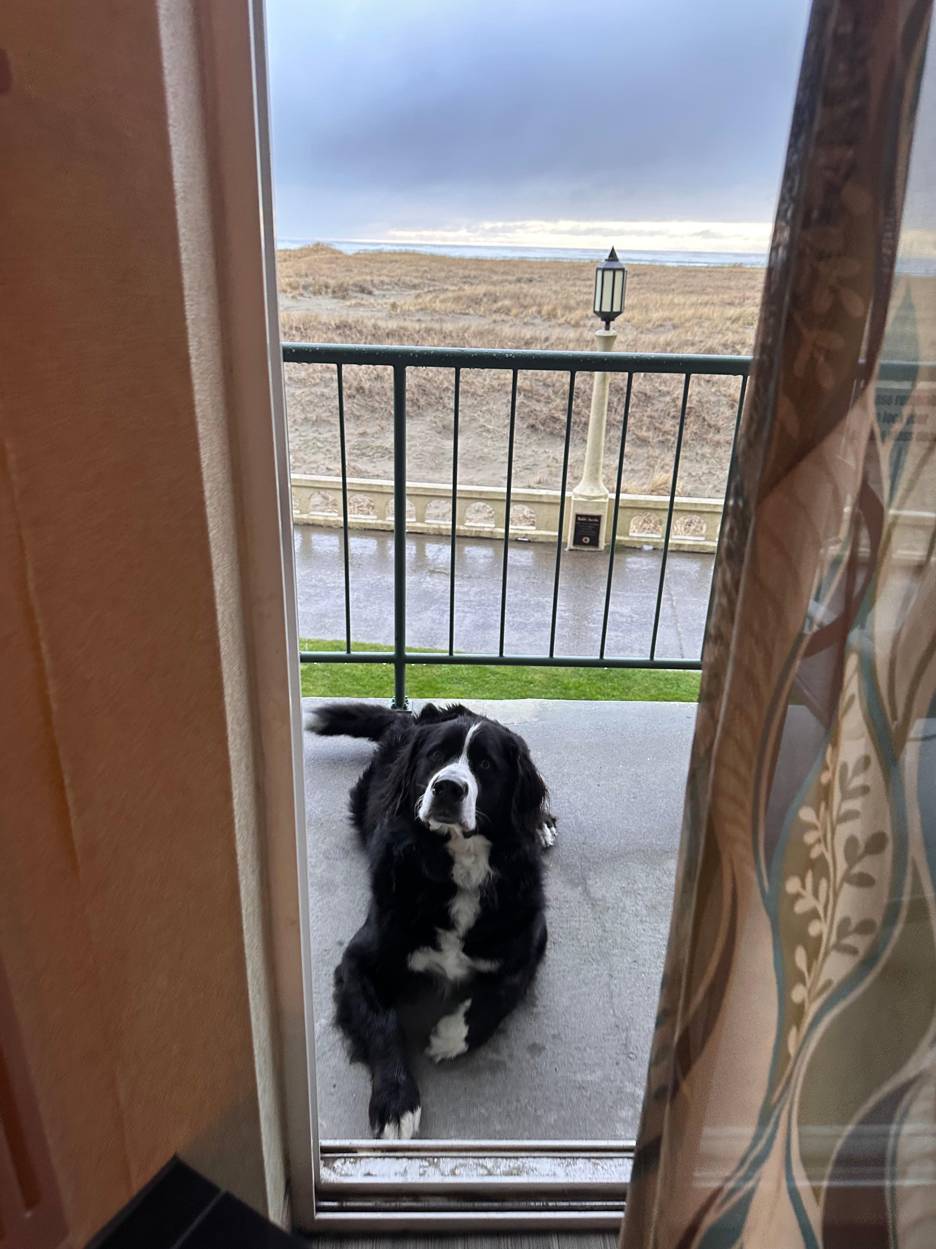 View from the room was great! 