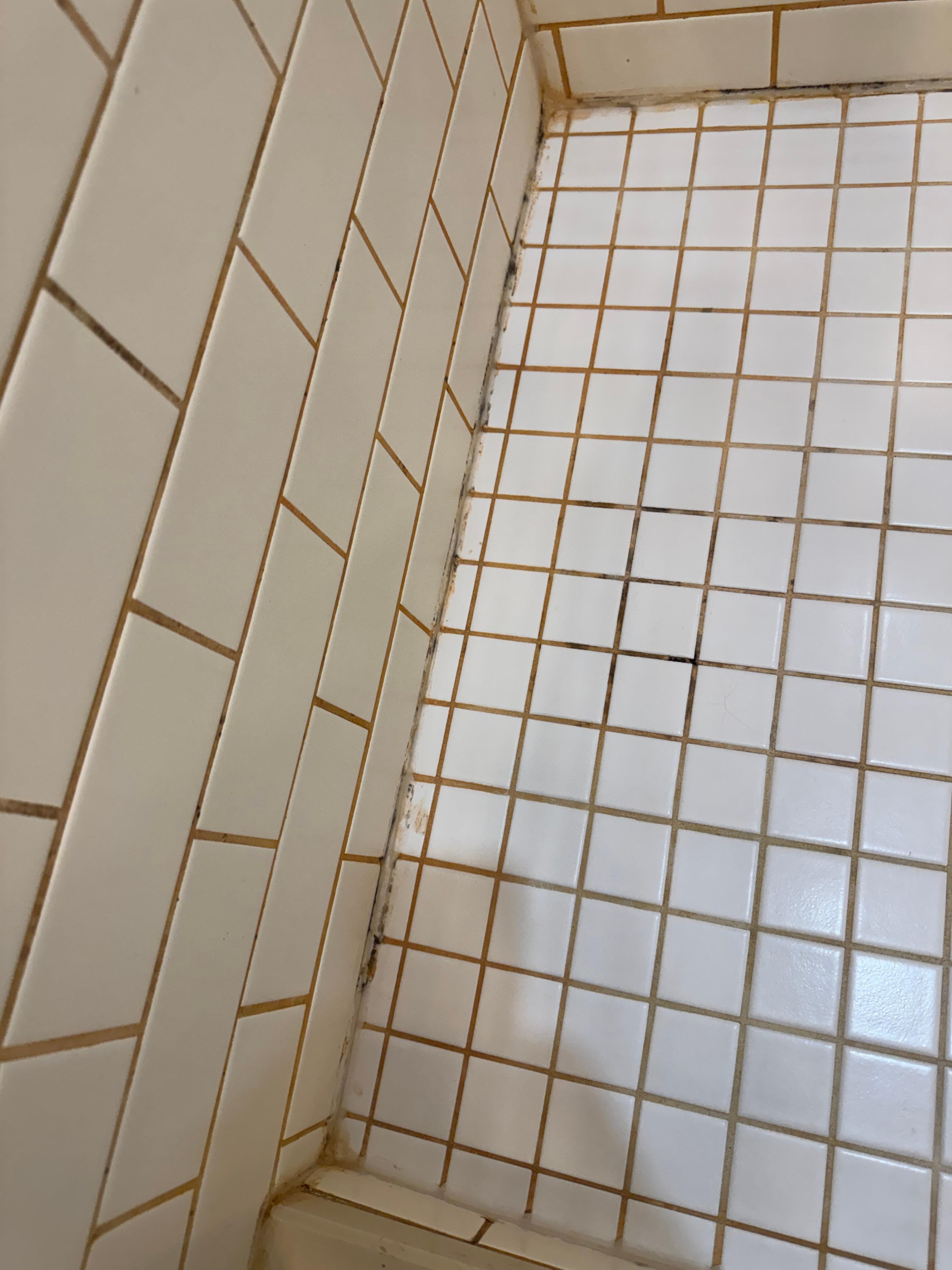 Bathroom mold