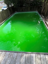 green pool