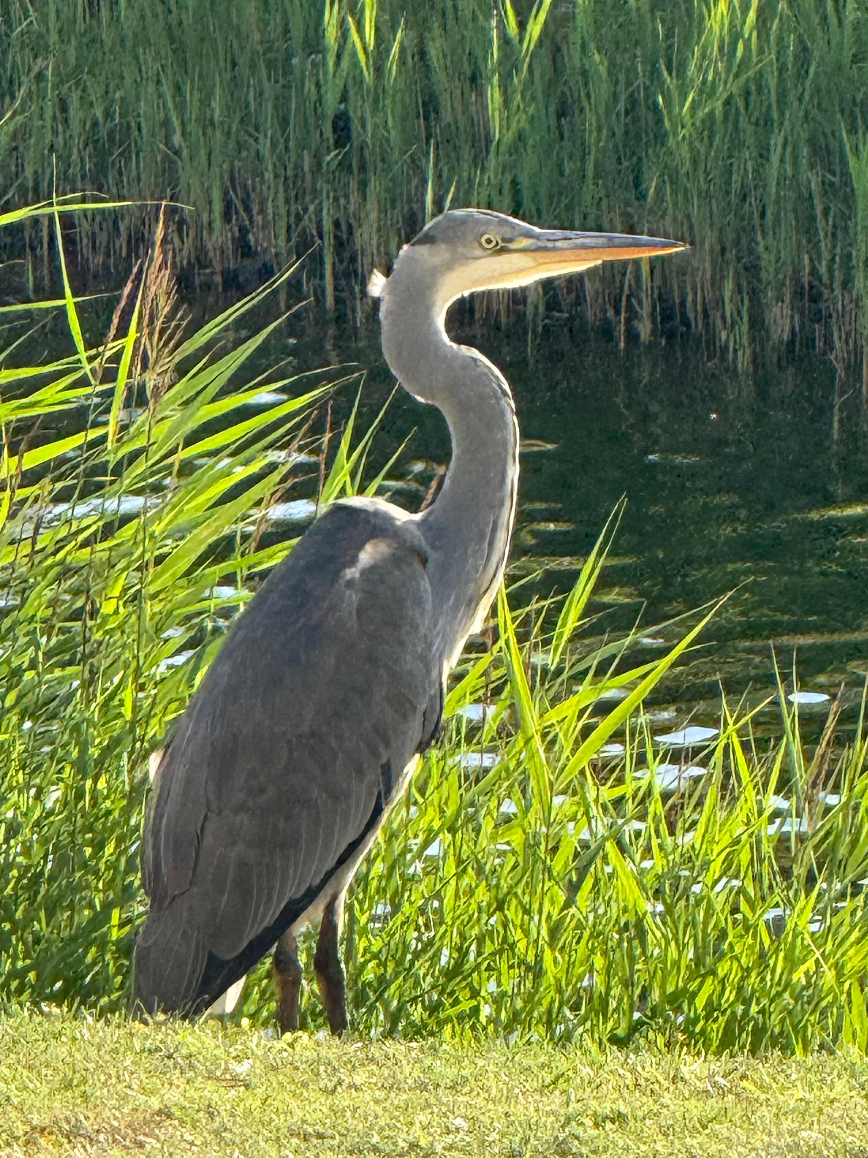 An der Terasse am Morgen 