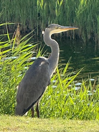 An der Terasse am Morgen