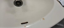 Lavabo