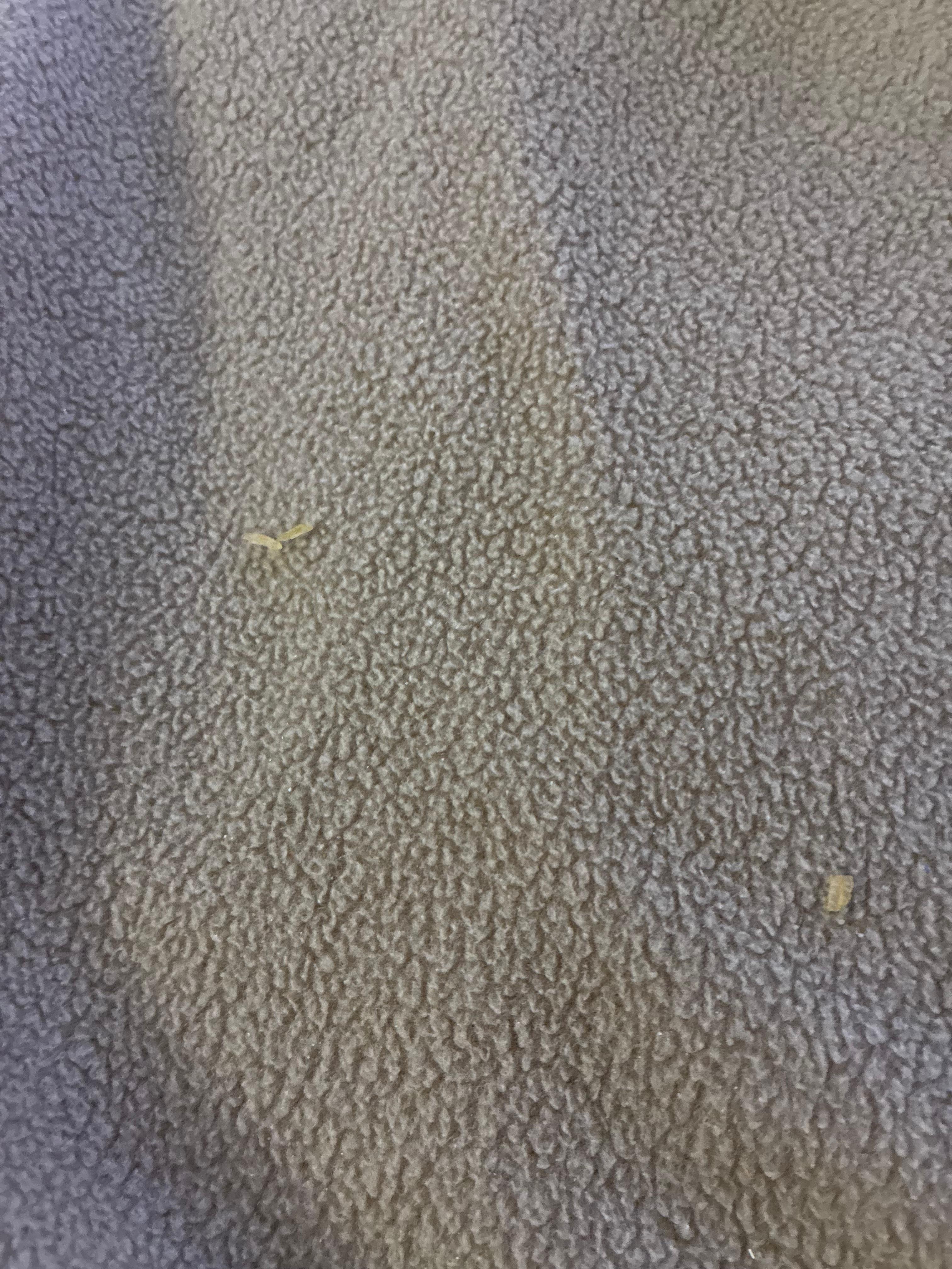 Dried rice literally under the comforter that was COVERED in yellow stains & what looked to be tire marks. Pictures to prove.