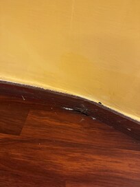 Damaged an unkempt room.