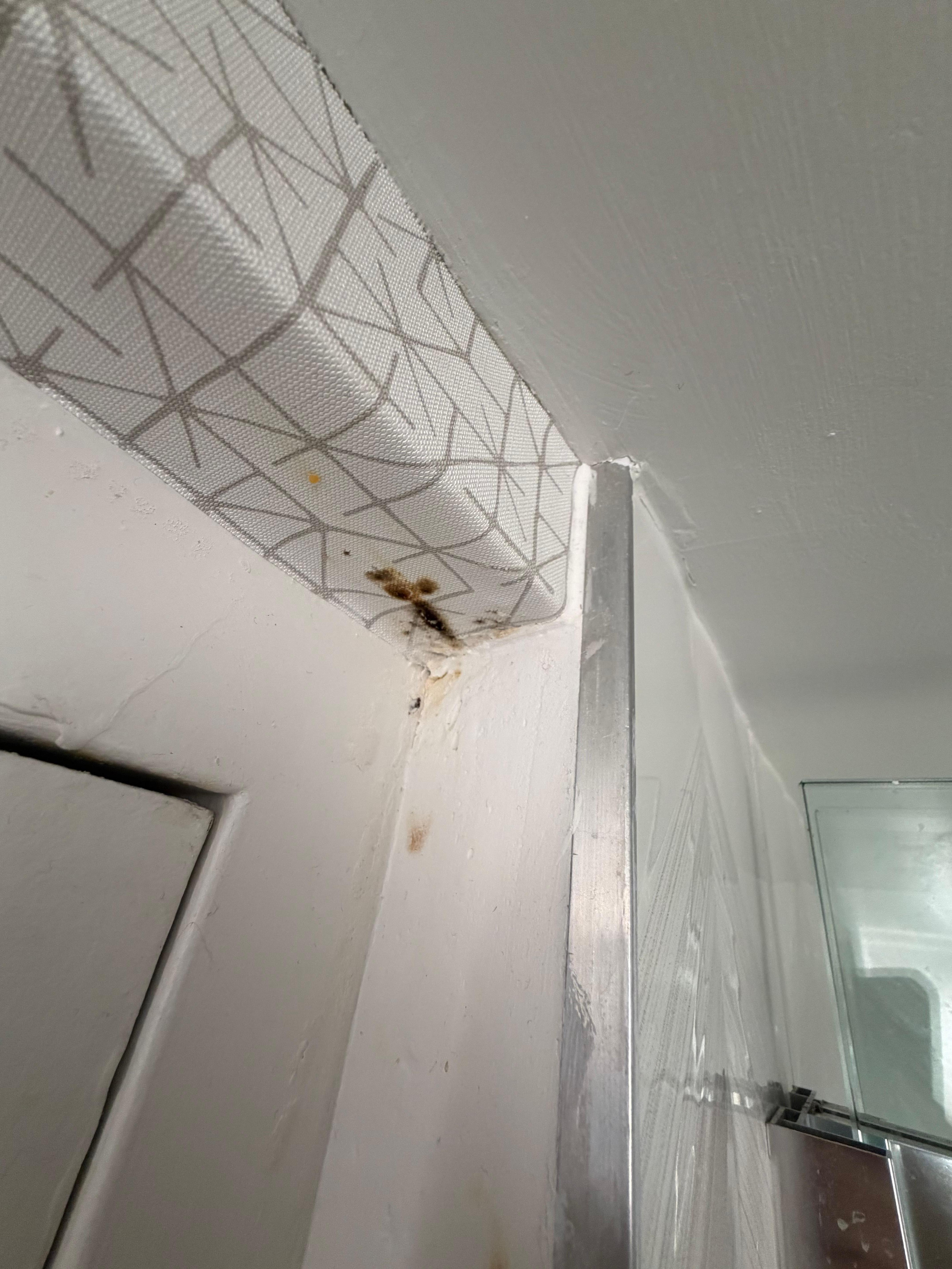 More rust and mold 