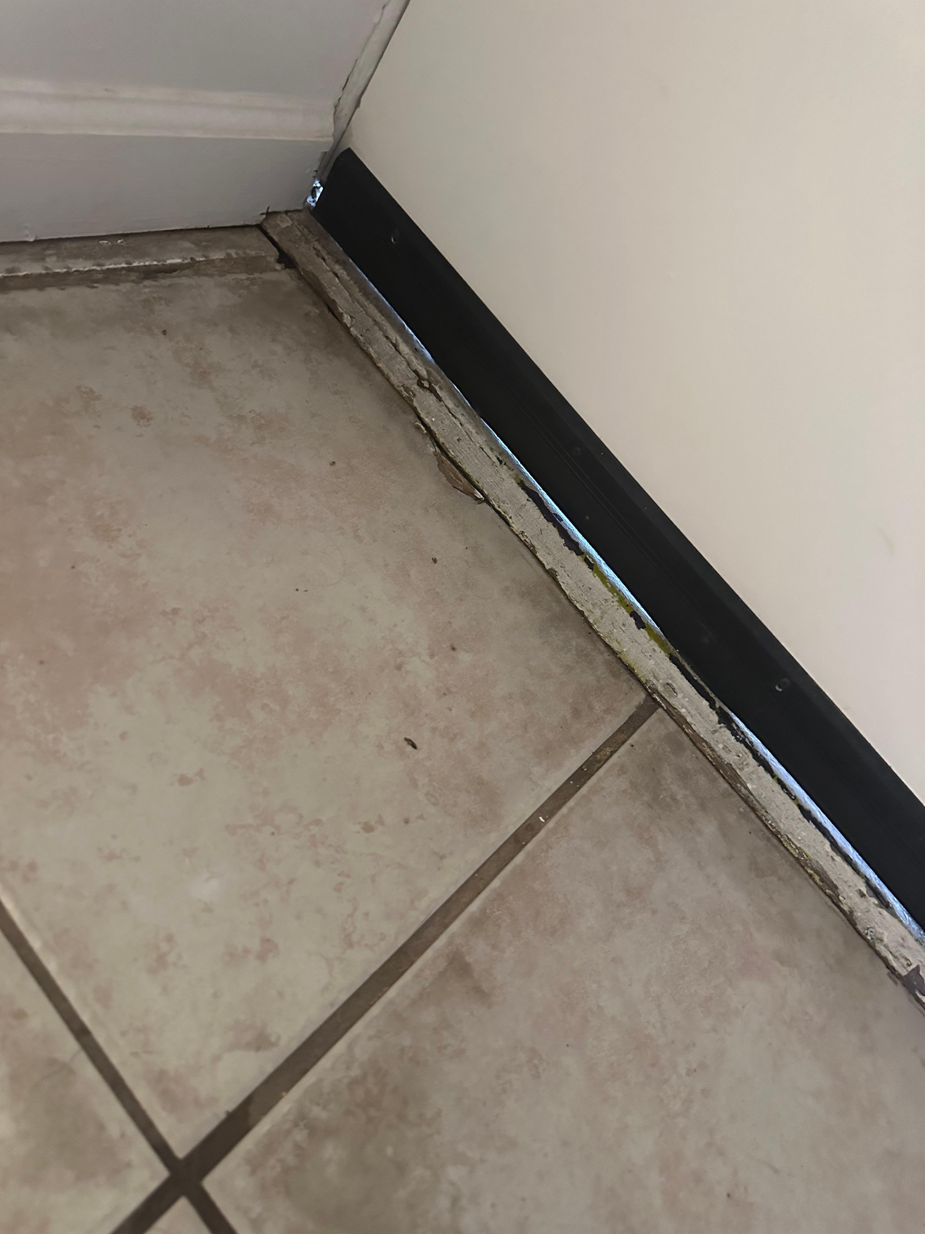 Hmmm, where is the wood floor in the pictures?