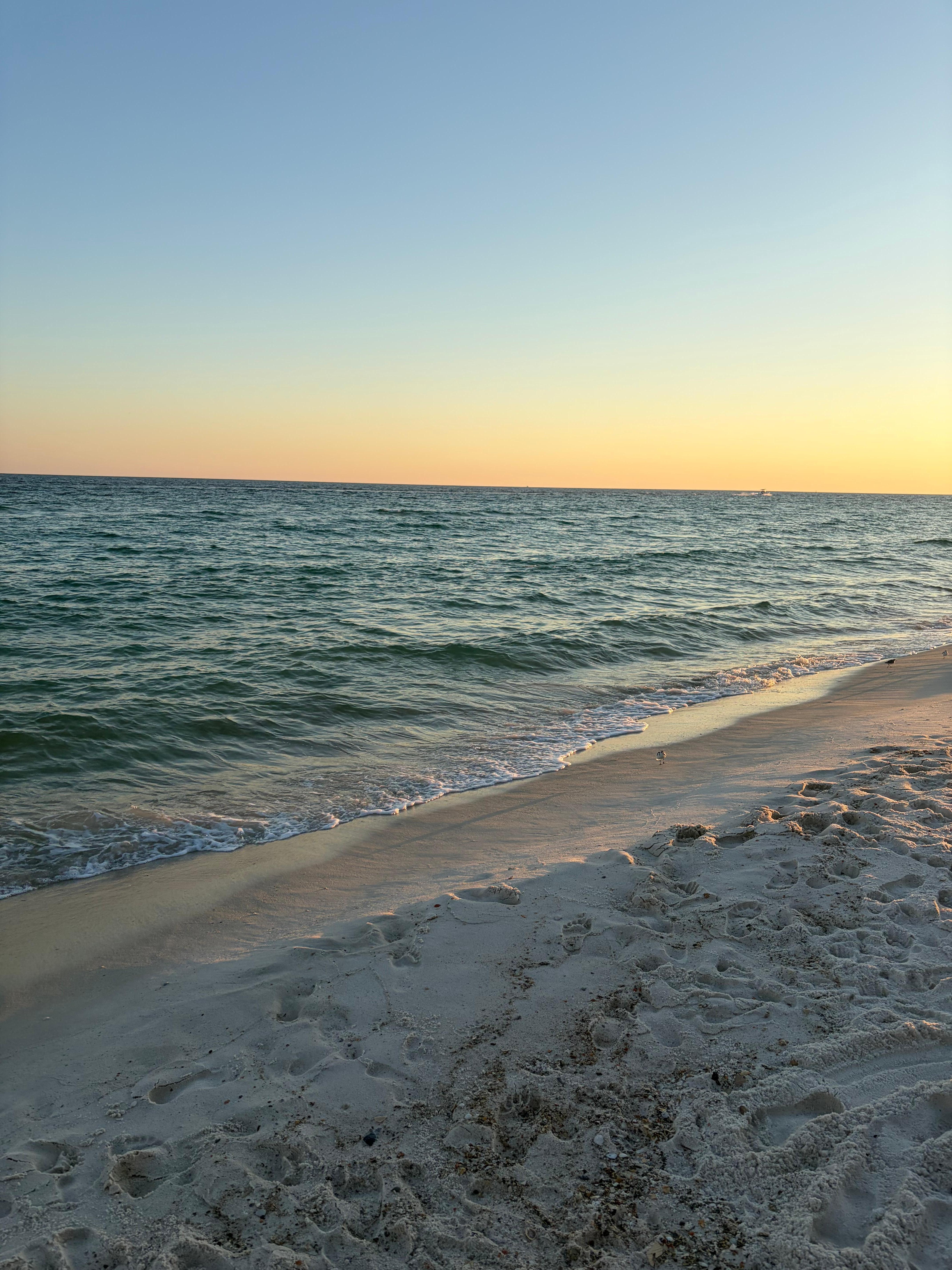 The view from patio.