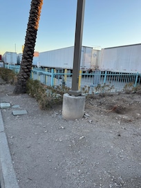 Bone dry dying palms!!