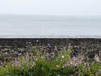 further afield--across Galway Bay near Ballyvaughan